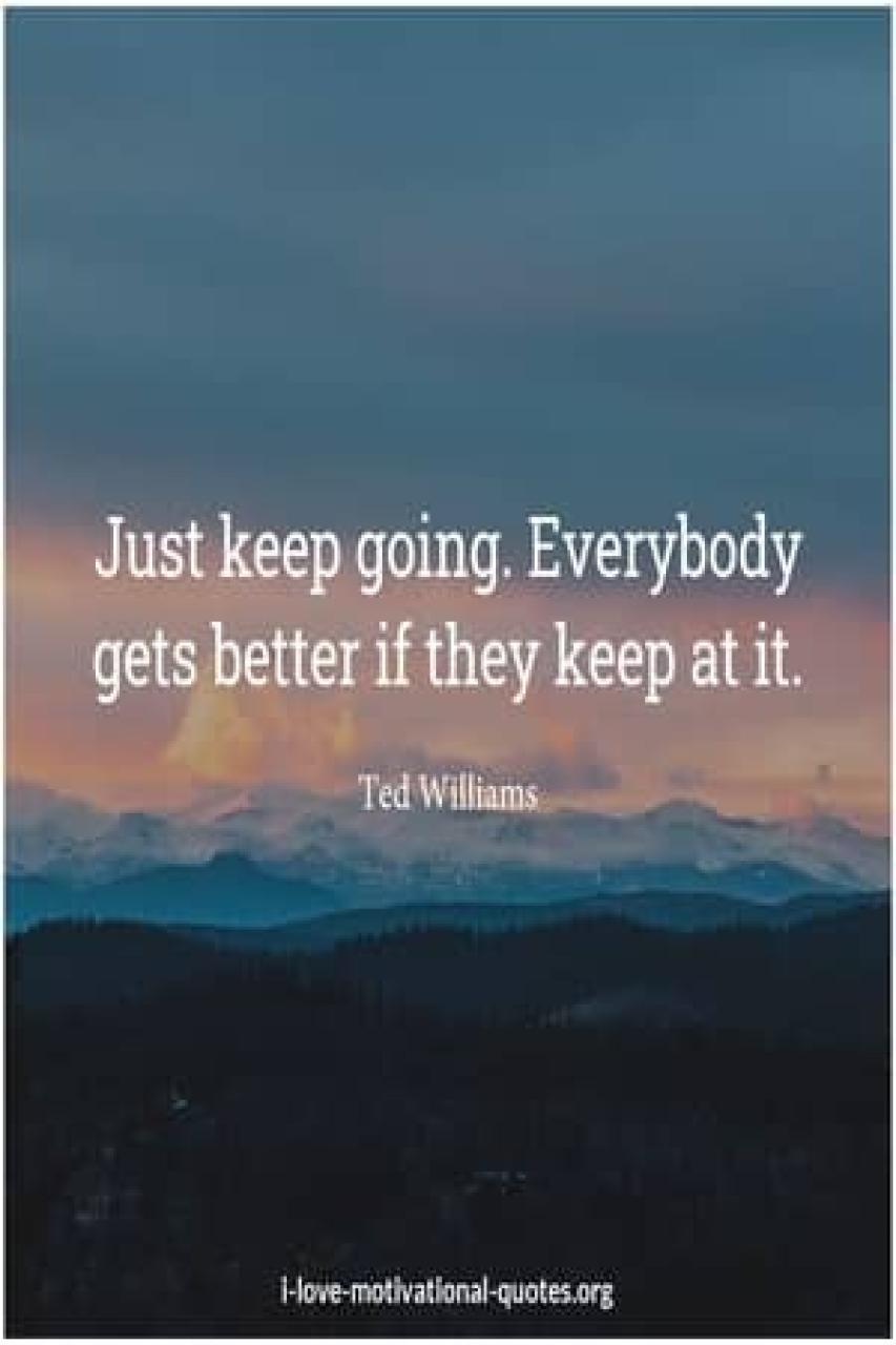 Ted Williams quotes