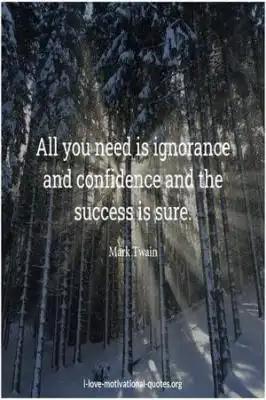 sayings about confidence and ignorance