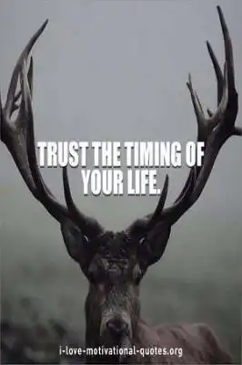 quotes about timing